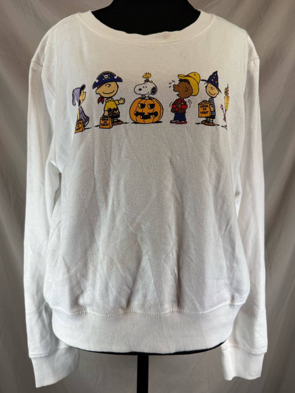 Peanuts Gang Halloween Trick-or-Treat Crewneck Sweatshirt White - Size Large